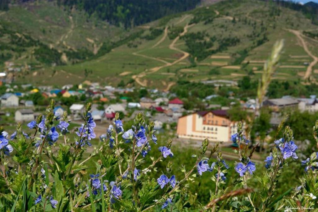 Гостинично-оздоровительный комплекс Живая вода Mizhhirya  Экстерьер фото